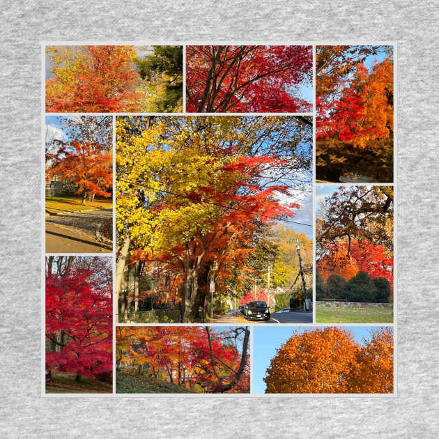 Foliage Collage by Barschall